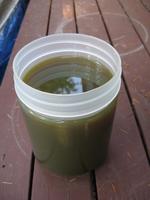 Generator oil change 2010